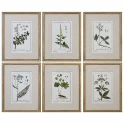 Buy 🥰 Uttermost Grace Feyock 6 Piece Floral Botanical Study Print Set 👍