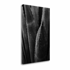 Best deal 🎁 Tangletown Fine Art 16x24 Abstract Agava III By Elizabeth Urquhart Print On CanvasFabric Multi-Color 🌟