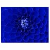 Brand new 😀 Designart 40" X 30" "Abstract Flower Design" Fabric Canvas Wall Art In Blue ⌛