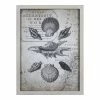 Best reviews of 🎁 Stratton Home Decor Vintage Shells On Map Wood Framed Wall Art In Gray ⭐