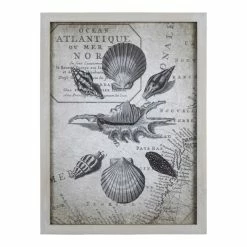 Best reviews of 🎁 Stratton Home Decor Vintage Shells On Map Wood Framed Wall Art In Gray ⭐
