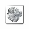 Outlet 🧨 Giant Art Canvas 20x20 Tree Ring Abstract IV Framed In White 😉
