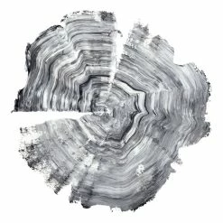 Hot Sale 🎉 Giant Art 54x54 Tree Ring Abstract IV Fine Art Giant Canvas Print In White ✨