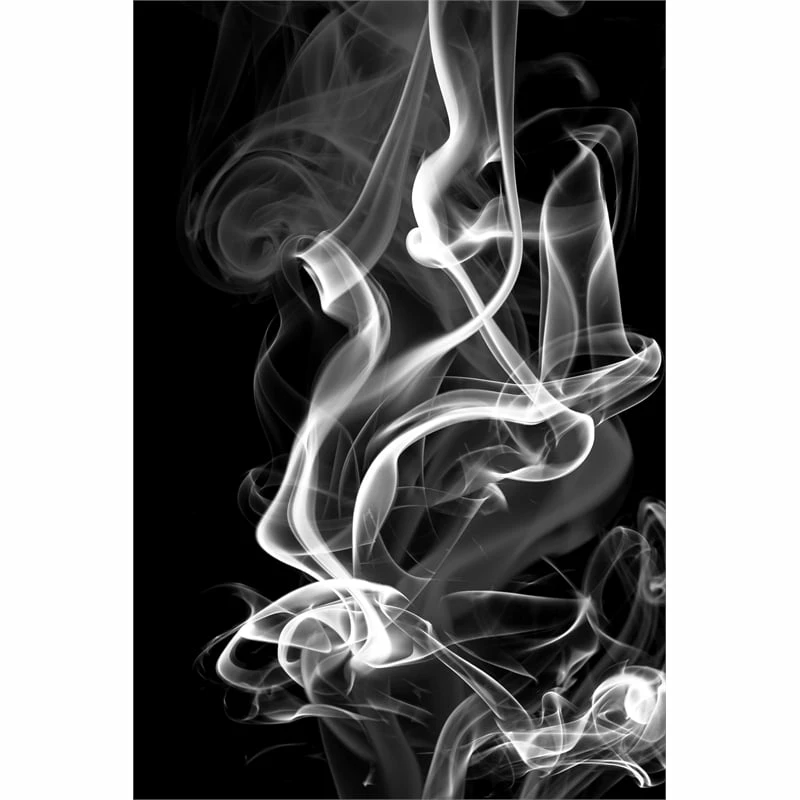 Best reviews of ๐งจ Giant Art 72x48 Black Smoke Abstract Fine Art Giant Canvas Print In White โจ