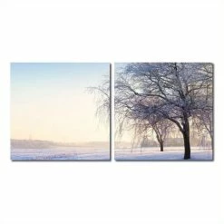 Best reviews of 🎁 Baxton Studio Snowy Solitude Mounted Print Diptych In Multicolor 👏